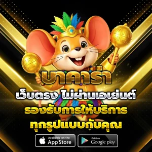 ทางเข้า mvp131